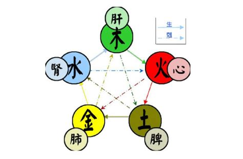 五行都有的人|五行（对万事万物的取象比类）